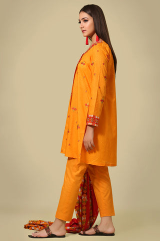 Printed & Embroidered suit