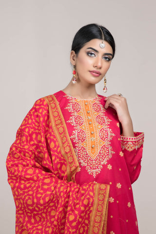 Printed & Embellished 3 Pcs Suit