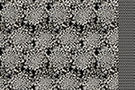 black-swatch