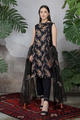 Dyed & Embroidered 2 Pcs Suit