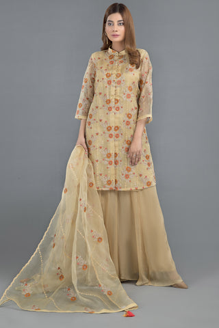 Dyed & Embroidered 2 Pcs Suit