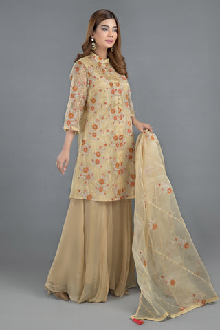 Dyed & Embroidered 2 Pcs Suit