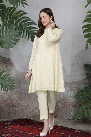 Dyed & Embroidered 2 Pcs Suit