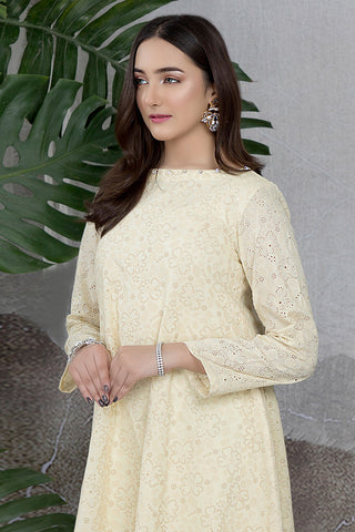 Dyed & Embroidered 2 Pcs Suit