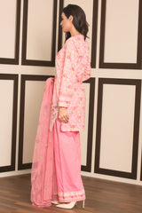 C 2149 (3 PC)
