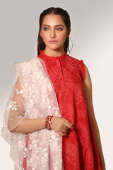 Dyed & Embroidered dupatta