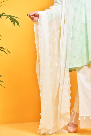 Embroidered Dupatta