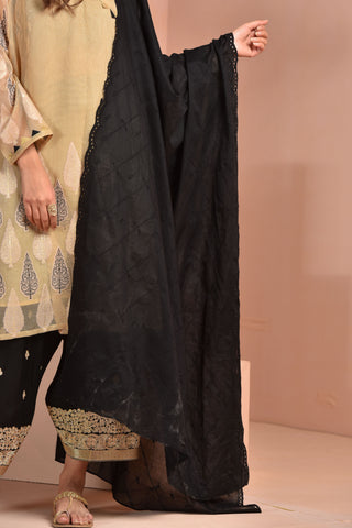 Dyed & Embroidered Dupatta