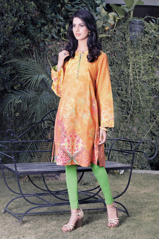 Fabric C 1660 (1PC)
