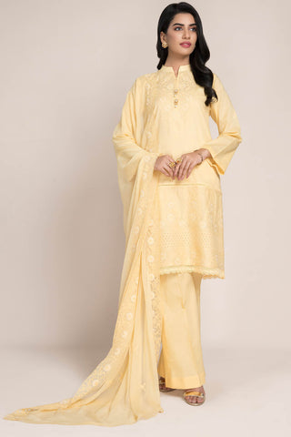 Dyed,Embr & Embellished 3Pcs