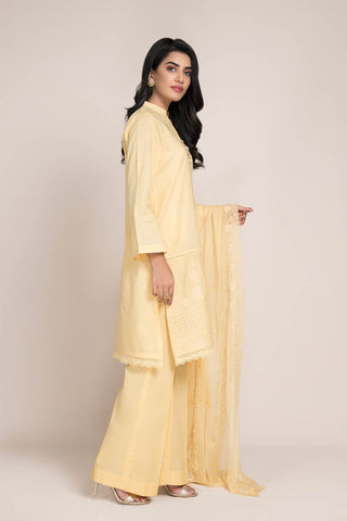 Dyed,Embr & Embellished 3Pcs