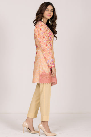 Printed & Embroidered Suit
