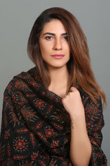 lawn karandi multi colour embroidered shawl